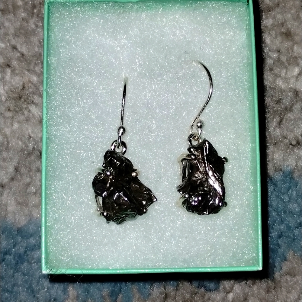 Campo del Cielo earrings